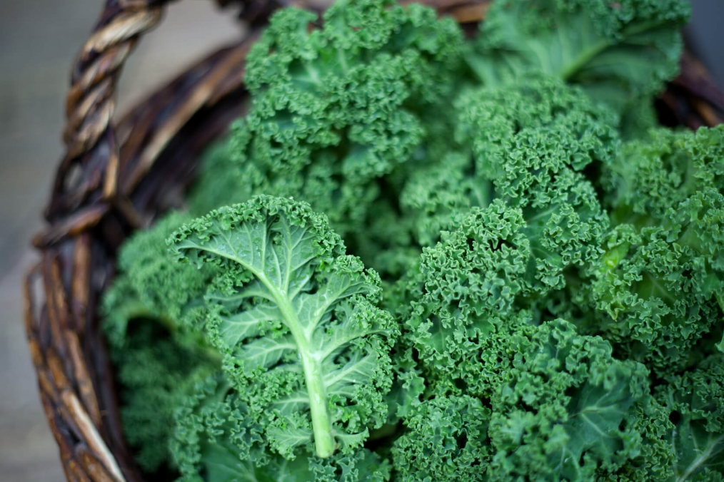 Why Kale Is a Nutritional Powerhouse